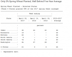 SpringWheat.PNG