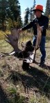 moose3.jpg