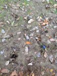IMG_0194.JPG