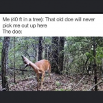 1670560171141.png