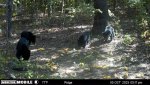 image638319431754957432.jpg