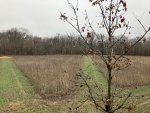 IMG_9678.jpeg