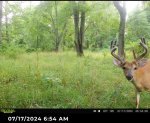 IMG_0572.jpeg