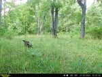IMG_0658.jpeg