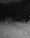IMG_1357.jpeg