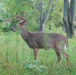 IMG_0856.jpeg