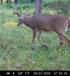 IMG_0857.jpeg