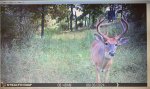 IMG_0844.jpeg