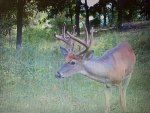IMG_0845.jpeg