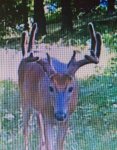IMG_0859.jpeg