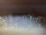 IMG_0846.jpeg