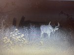 IMG_0848.jpeg