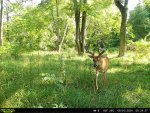IMG_1009.jpeg