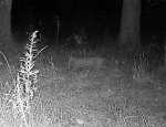 IMG_0997.jpeg