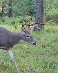 IMG_1002.jpeg