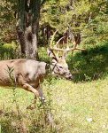IMG_0998.jpeg