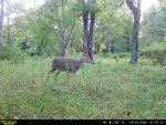 IMG_1004.jpeg