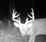 IMG_1091.jpeg