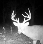 IMG_1092.jpeg