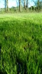 IMG_20190409_181222.jpg